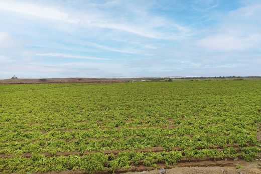 Arsa Lima, Departamento de Lima