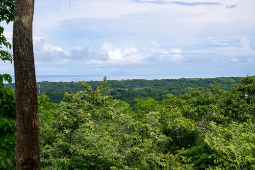 Teren w Marbella, Santa Cruz