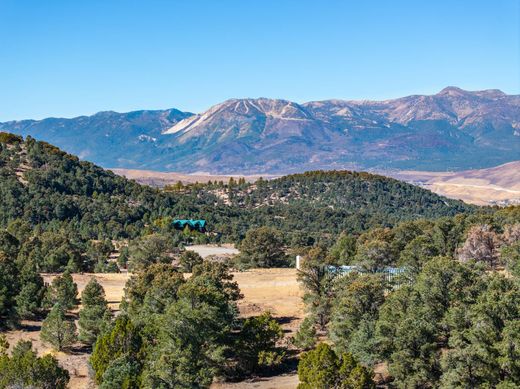 地皮  雷諾, Washoe County