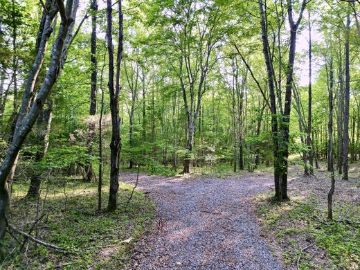 Terreno en Joelton, Davidson County