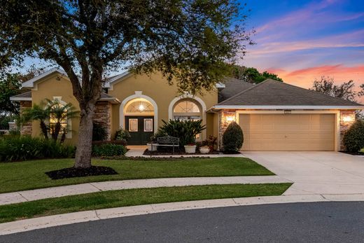 Vrijstaand huis in Mount Dora, Lake County