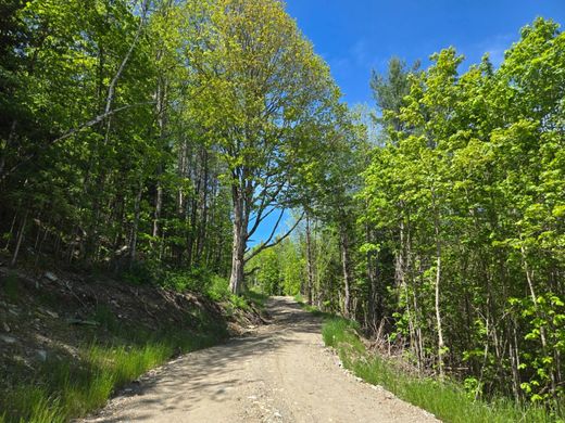 Terreno - Barnard, Windsor County