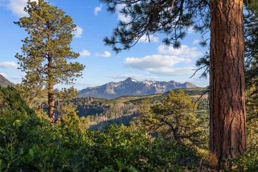 Grond in Placerville, San Miguel County