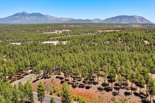 Terreno - Flagstaff, Coconino County