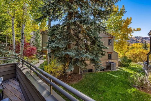 Stadthaus in Aspen, Pitkin County