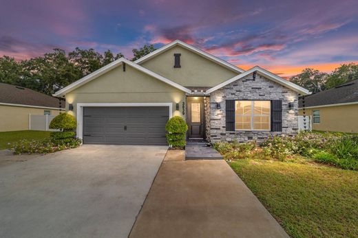 Detached House in Belleview, Marion County