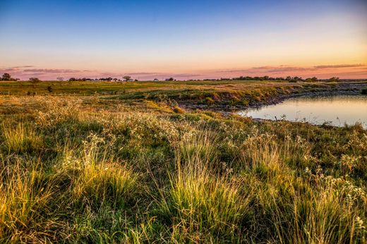 Brenham, Washington Countyの高級住宅