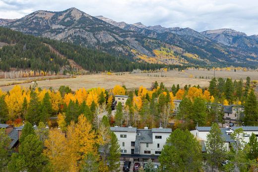 Квартира, Уилсон, Teton County