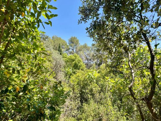 Участок, Монпелье, Hérault