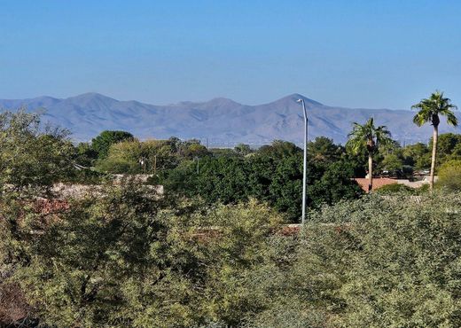 メサ, Maricopa Countyの土地