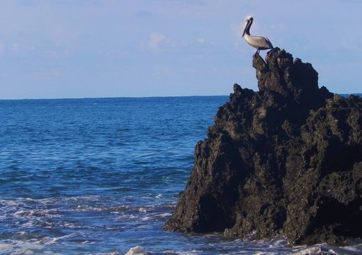 Grond in Osa, Provincia de Puntarenas