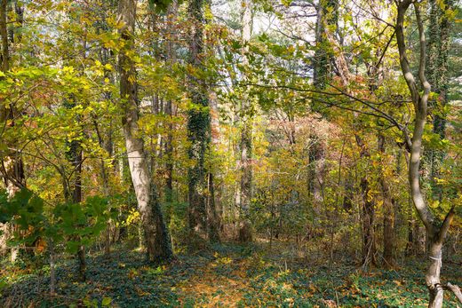 토지 / Asheville, Buncombe County