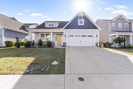 Dom jednorodzinny w Hampstead, Pender County