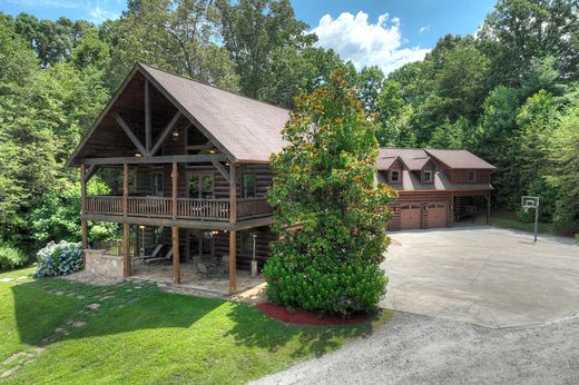 단독 저택 / Morganton, Fannin County