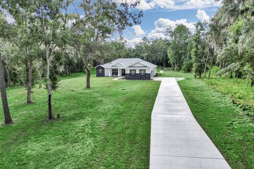 Vrijstaand huis in Williston, Levy County