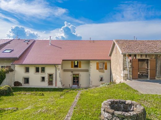 Detached House in Neydens, Haute-Savoie