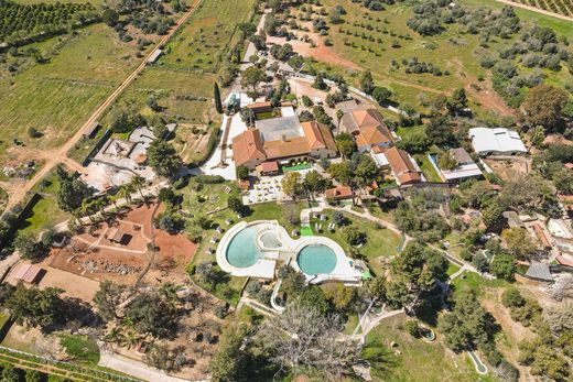 منزل ريفي ﻓﻲ Silves, Distrito de Faro