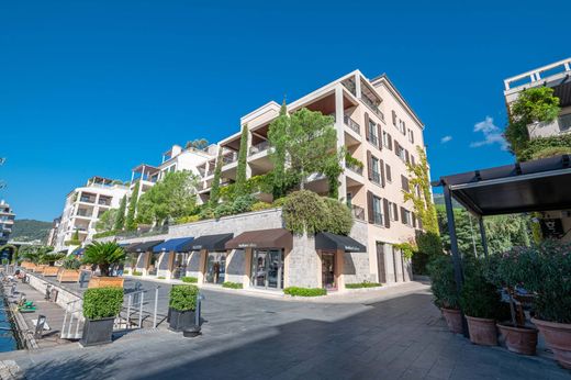 Detached House in Tivat