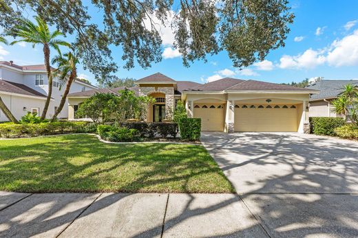 Maison individuelle à Tampa, Comté de Hillsborough