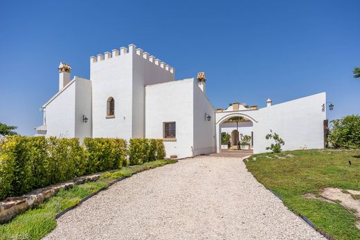 Detached House in Seville, Province of Seville