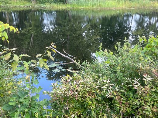 Αγροτεμάχιο σε Northumberland, Saratoga County