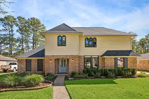 Einfamilienhaus in Houston, Harris County