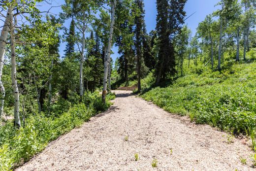 Land in Coalville, Summit County