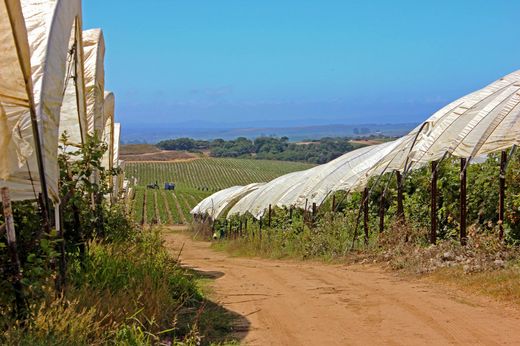 토지 / Salinas, Monterey County