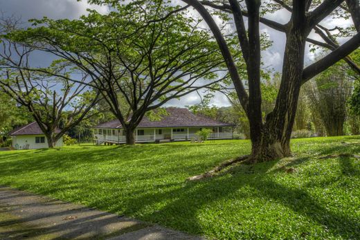 Kīlauea, Kauai Countyの高級住宅