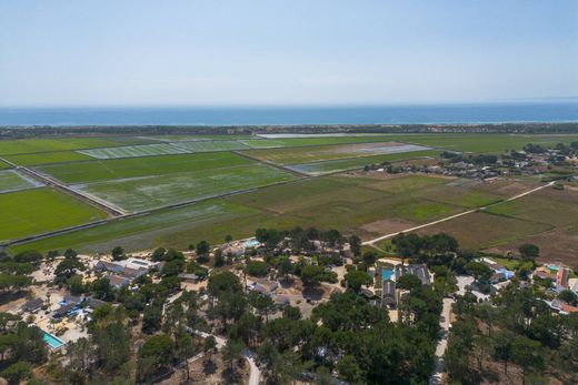 Land in Alcácer do Sal, Distrito de Setúbal