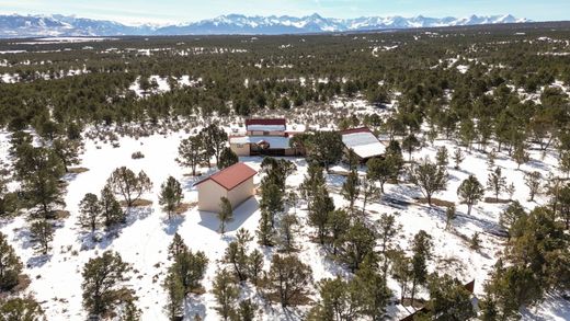 Luxury home in Montrose, Montrose County