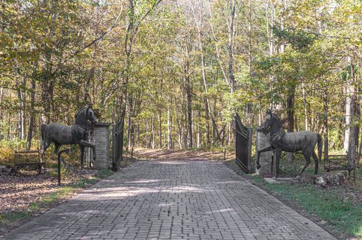 Pipersville, Bucks Countyの一戸建て住宅