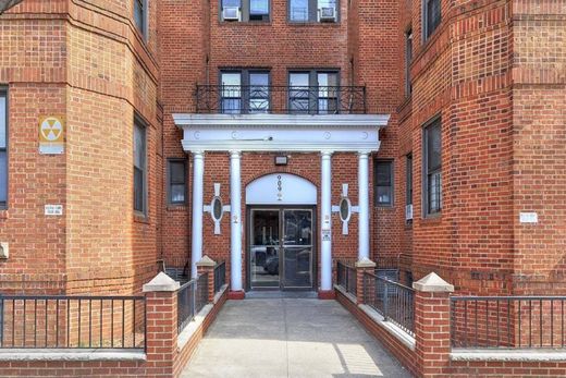 Luxe woning in Brooklyn, Kings County