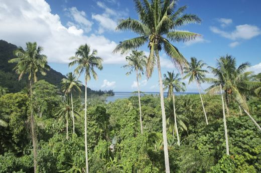 토지 / Teavaro, Îles du Vent