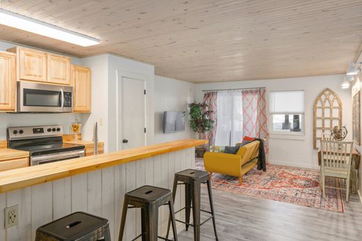 ‏דירה ב  Mount Crested Butte, Gunnison County