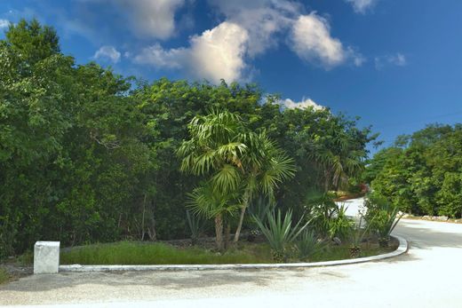Arsa Thompson Cove, Providenciales