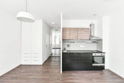 Appartement à Prague, Prague ville-capitale