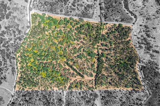 Grond in Santiago do Cacém, Distrito de Setúbal