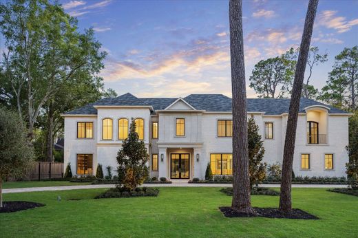 Einfamilienhaus in Houston, Harris County