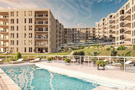 Daire Sainte-Foy, Capitale-Nationale