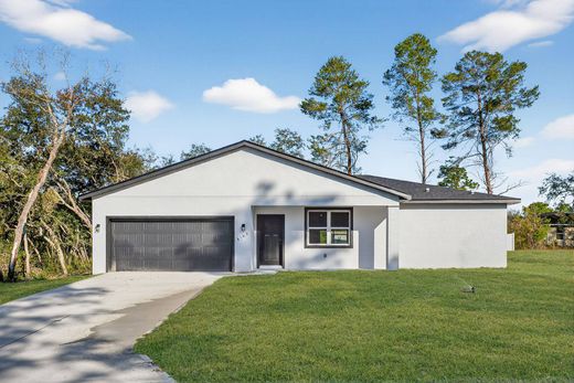Частный Дом, Citrus Springs, Citrus County