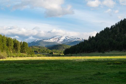 Landsitz in Bailey, Park County