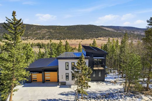 Luxus-Haus in Alma, Park County