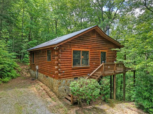 단독 저택 / Blue Ridge, Fannin County