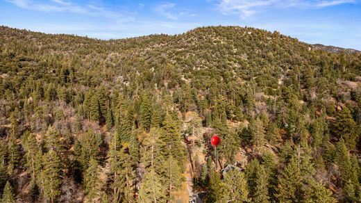 Vrijstaand huis in Fawnskin, San Bernardino County
