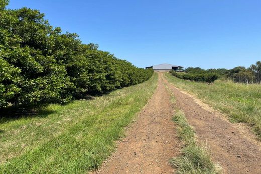 منزل ريفي ﻓﻲ aMatikulu, uThungulu District Municipality