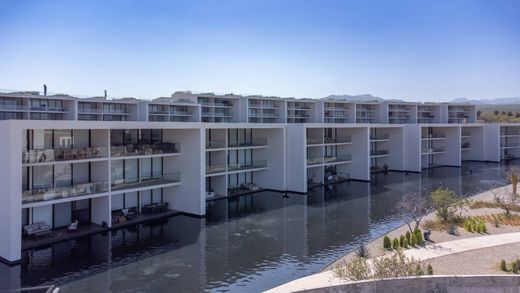 ‏דירה ב  San José del Cabo, Los Cabos