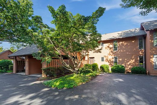 Einfamilienhaus in Asheville, Buncombe County