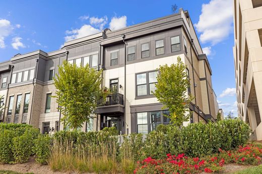 Luxury home in Ashburn, Loudoun County