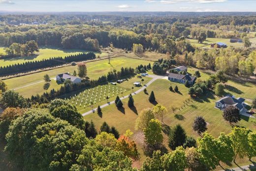 단독 저택 / Fenton, Genesee County